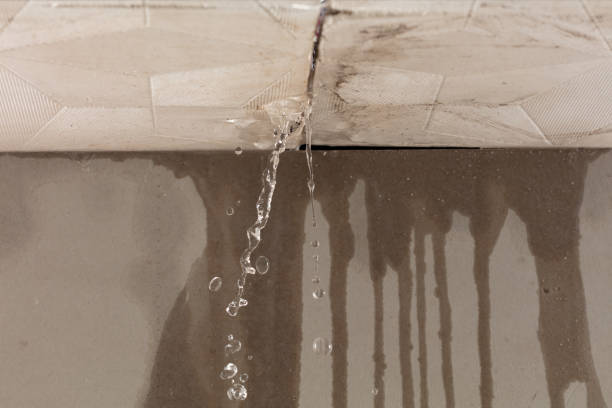 Professional Water Damage Repair technician working in Mount Olive, WV